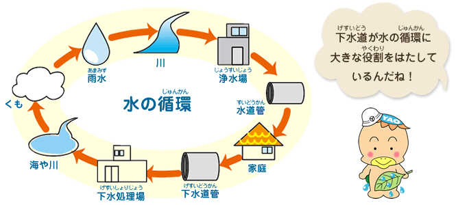 水の循環