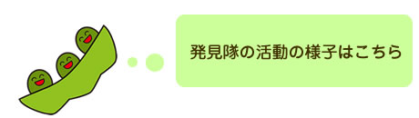 イイとこ発見隊活動