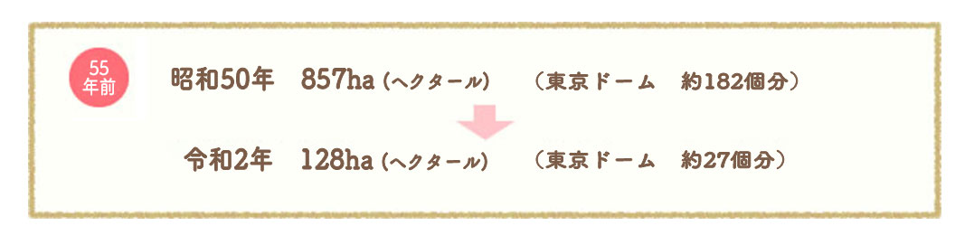 昭和50年 857ha(東京ドーム約182個ぶん)→平成27年 149ha(東京ドーム約32個ぶん)